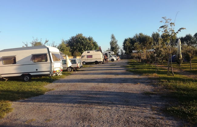 Salas Farma 47 - Foto 45