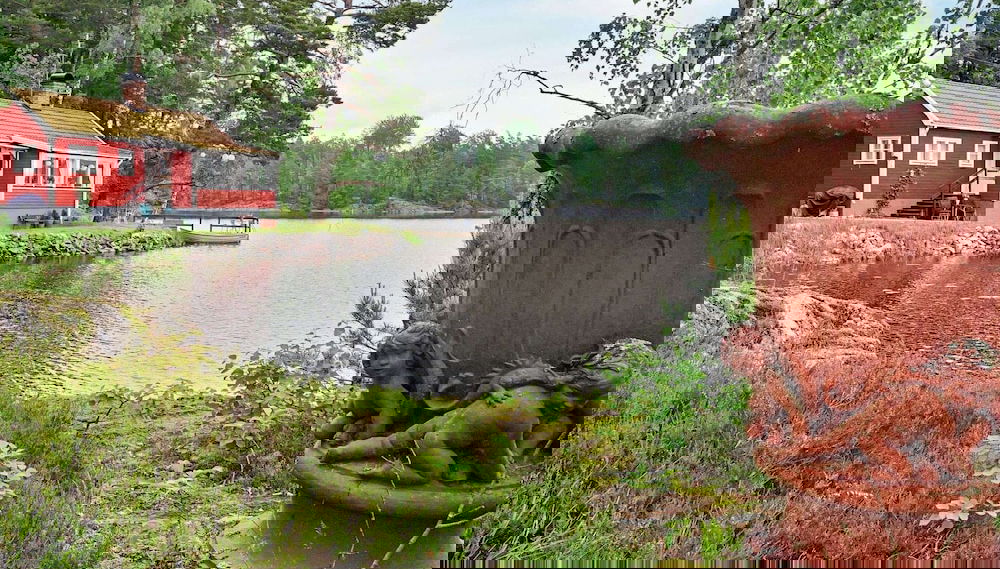 Imagem principal