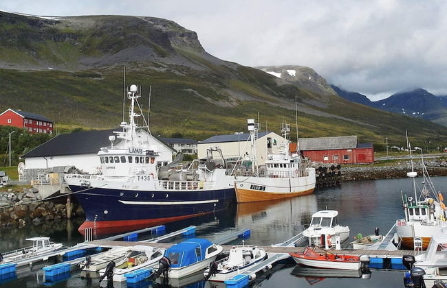 Holiday Home in Arnøyhamn - Foto 27