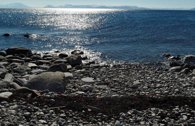 Holiday Home in Arnøyhamn - Foto 24