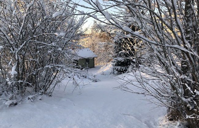 Tranquil Lakeside Cottage Retreat - Foto 36
