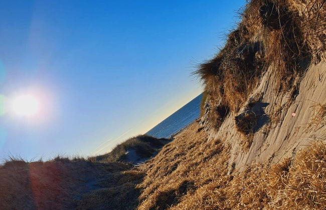 14 Person Holiday Home in Harboore - Foto 23