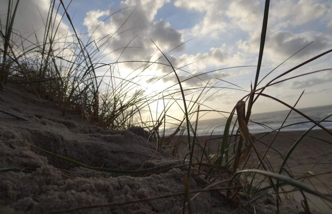 14 Person Holiday Home in Harboore - Foto 29