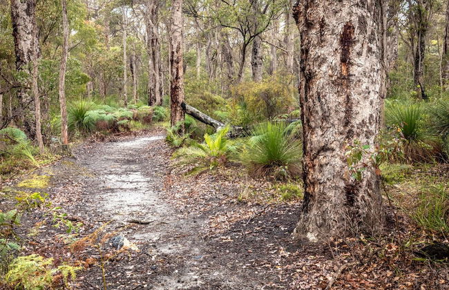 Bussells Bushland Cottages - Foto 20