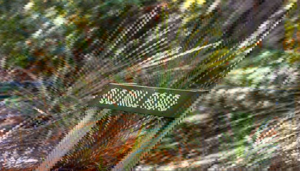 Eingangsbereich