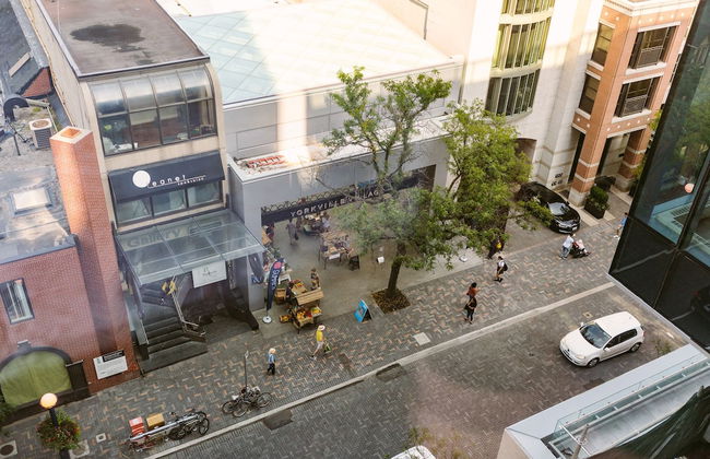 QuickStay - Enchantment in Yorkville - Yonge & Bloor - Foto 28