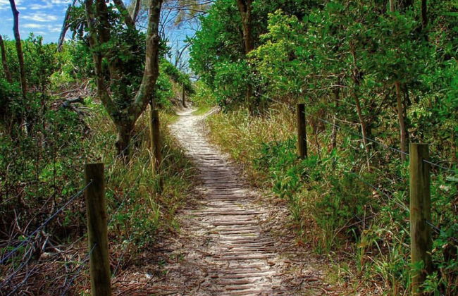 Tiona Palms Holiday Park - Foto 69