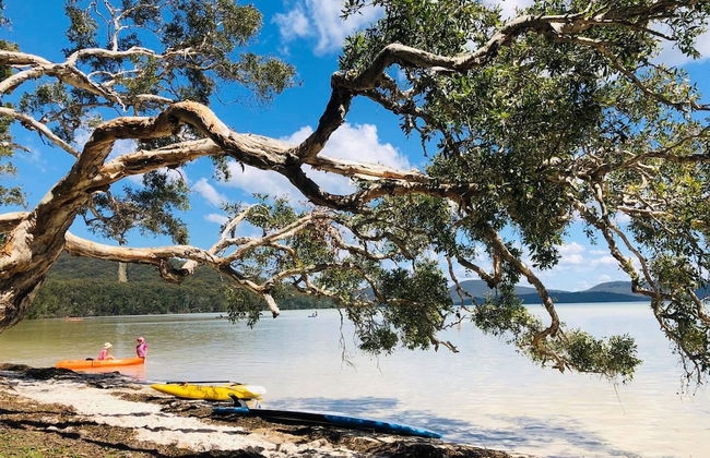 Tiona Palms Holiday Park - Foto 75