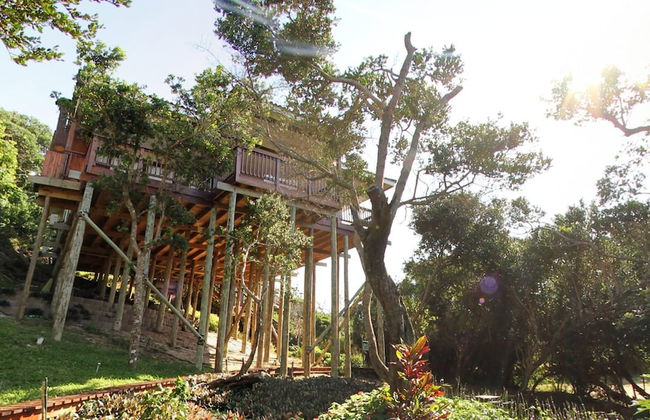 Campismo Ninho 40 - Photo 12