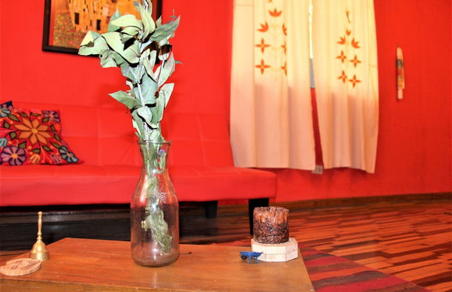 Qente Wasicha - Art Social Project - Foto 24