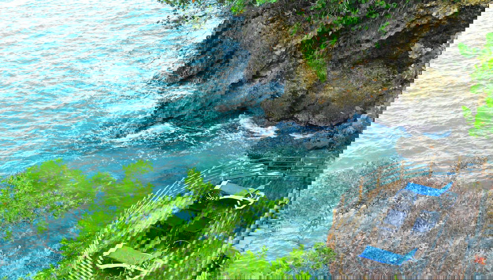Image principale