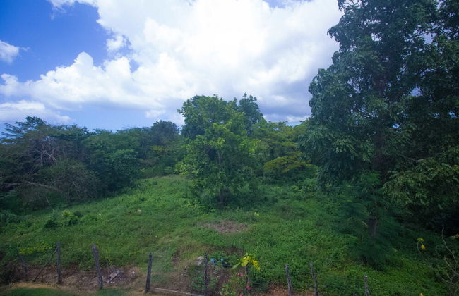 Rainbow Hill - Foto 33