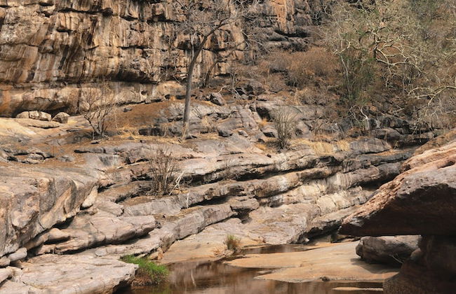 Buccara Waterberg - Molapo - Foto 78