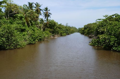 Photo 15 - Villa River Paradise