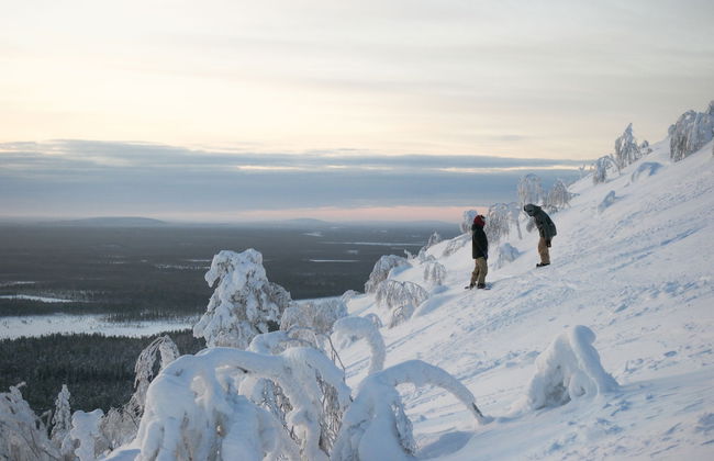Ski-Inn PyhäSuites - Foto 40