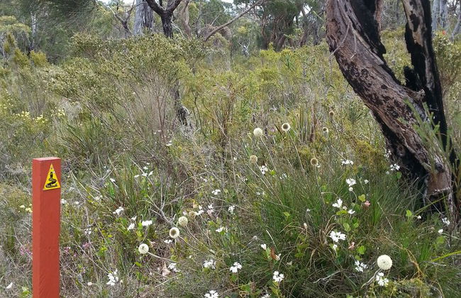 Nutkin Lodge - Foto 54