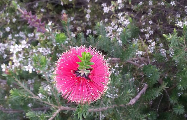 Nutkin Lodge - Foto 72