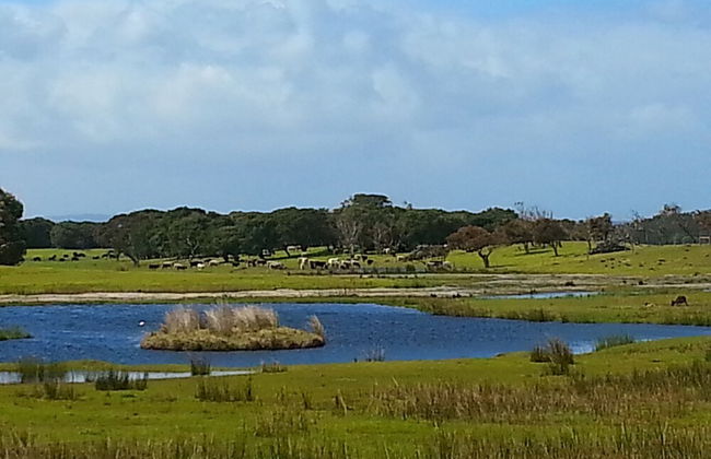 Nutkin Lodge - Foto 75