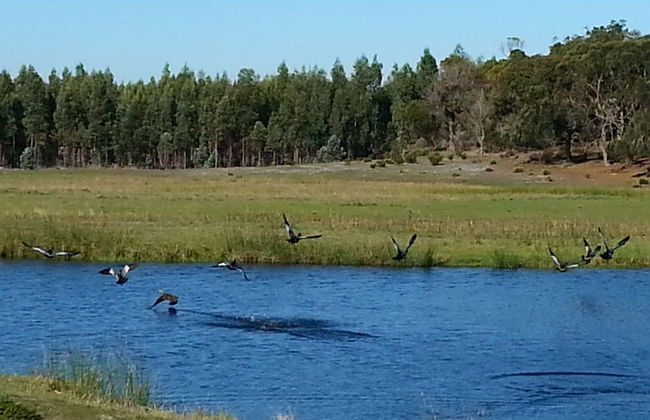 Nutkin Lodge - Foto 76