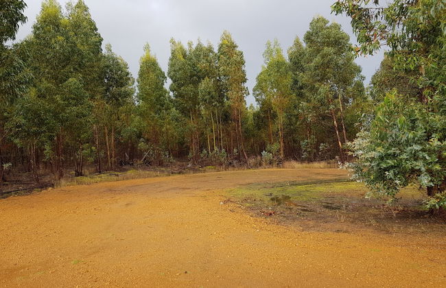 Nutkin Lodge - Foto 56