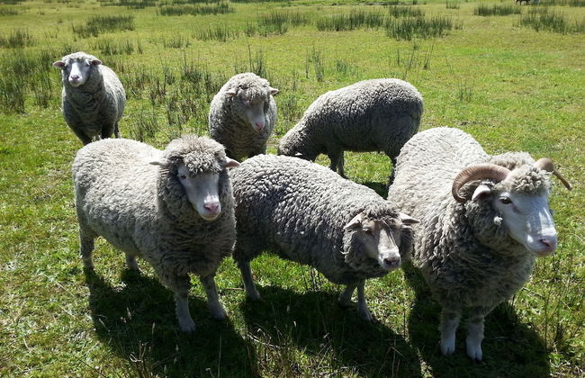 Nutkin Lodge - Foto 59