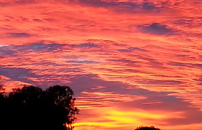 Nutkin Lodge - Foto 70