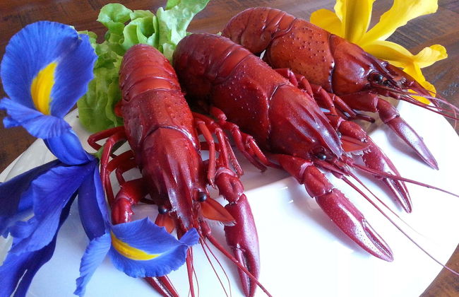 Nutkin Lodge - Foto 64