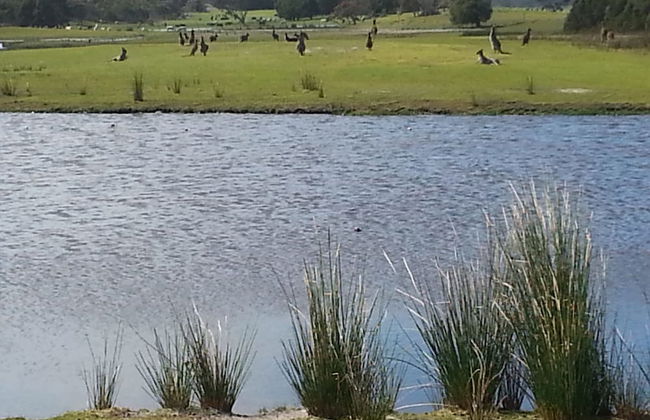 Nutkin Lodge - Foto 74