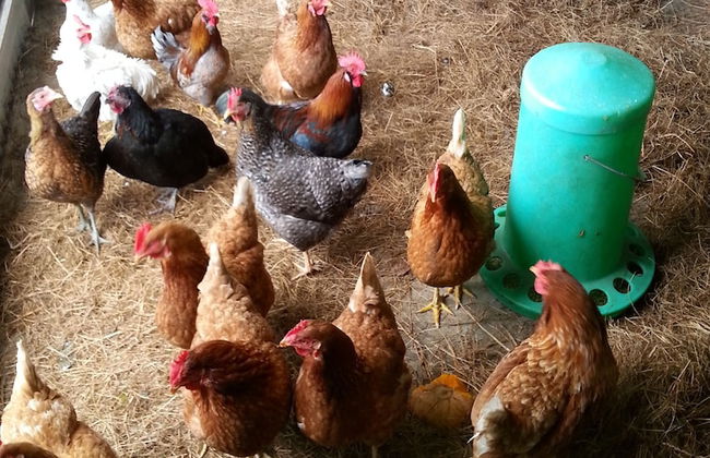 Nutkin Lodge - Foto 55