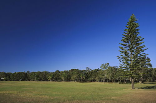 Photo 44 - Ingenia Holidays Kingscliff