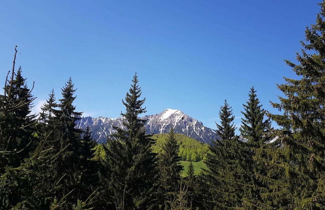 BonDia - Foto 40