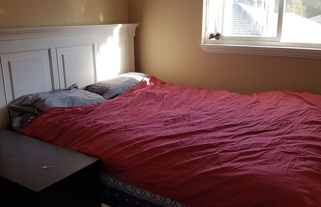 Berkshire Homestay - Photo 2