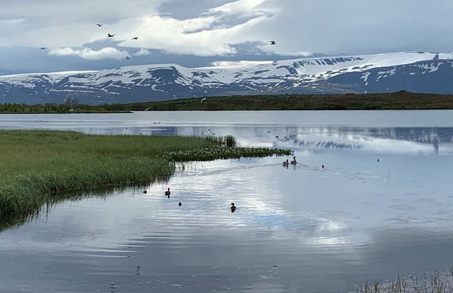 Kaldbaks-kot Cottages - Photo 63