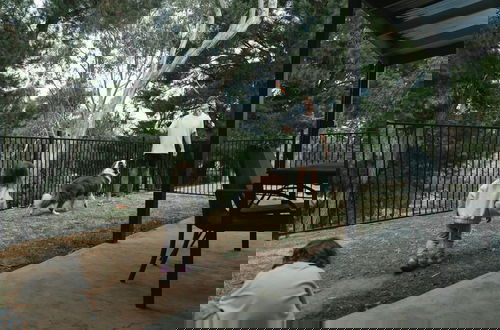 Foto 80 - Discovery Parks - Hahndorf