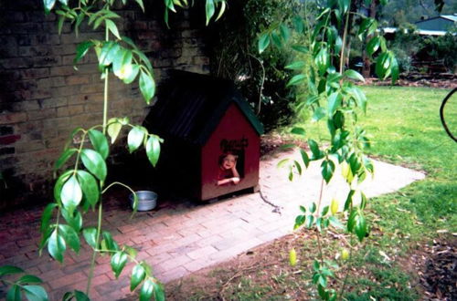 Photo 24 - Kurrajong Trails and Cottages