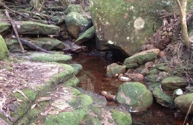 Kurrajong Trails and Cottages - Foto 14