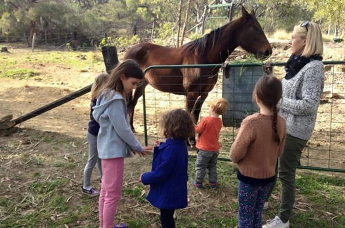 Foto 8 - Kurrajong Trails and Cottages