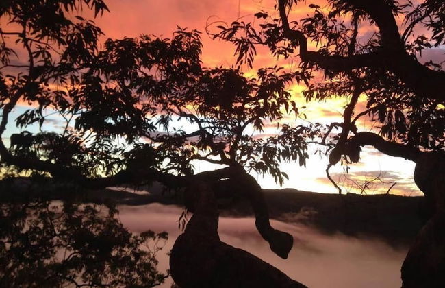 Kurrajong Trails and Cottages - Foto 13