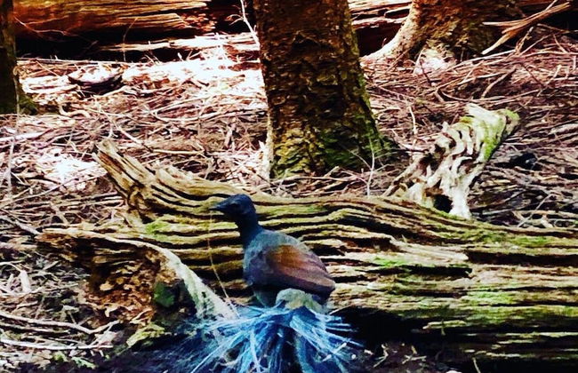 Dam It Getaway- Homestead - Foto 26