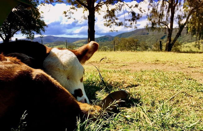 Dam It Getaway- Homestead - Foto 12