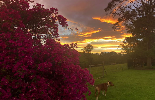 Dam It Getaway- Homestead - Foto 15