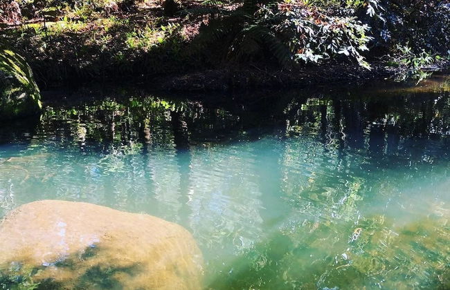 Dam It Getaway- Homestead - Foto 27