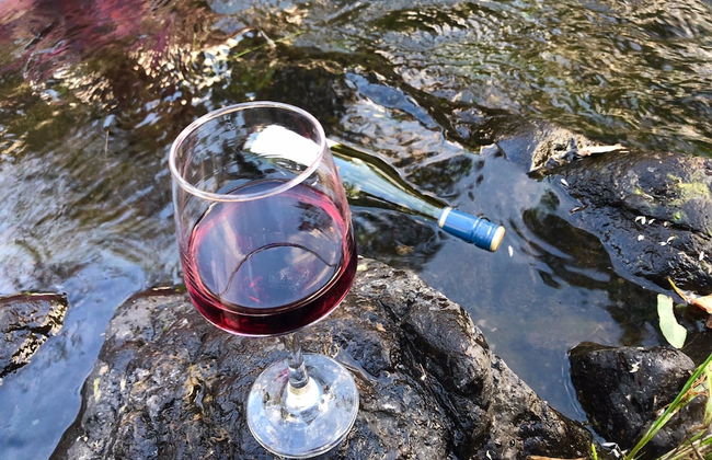 Dam It Getaway- Homestead - Foto 18