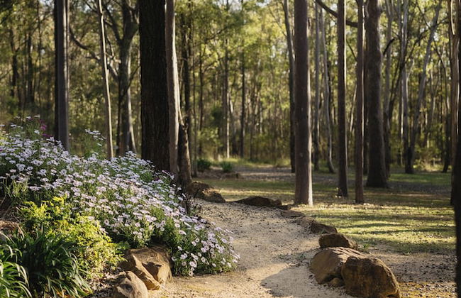 Pokolbin Cottages - Foto 46
