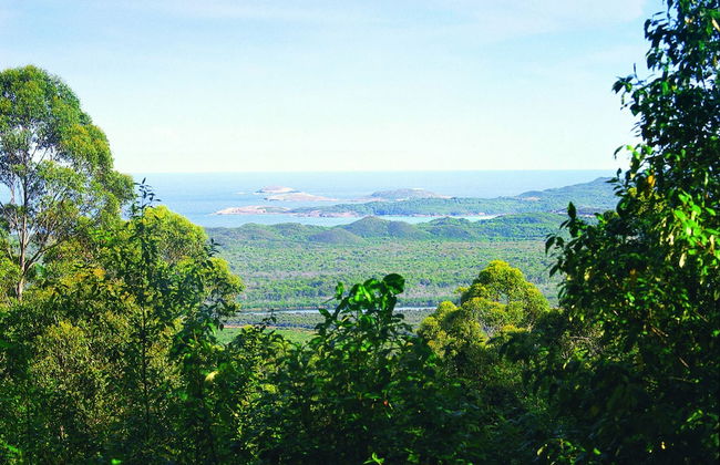 Walpole Rest Point Caravan Park - Photo 69