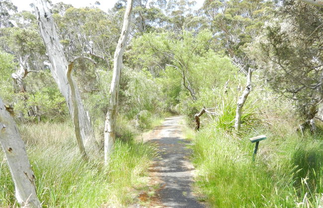 Walpole Rest Point Caravan Park - Photo 51
