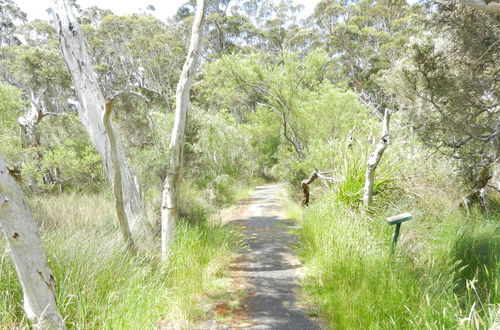 Photo 19 - Walpole Rest Point Caravan Park