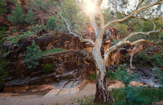 Skytrek Willow Springs Station - Foto 69