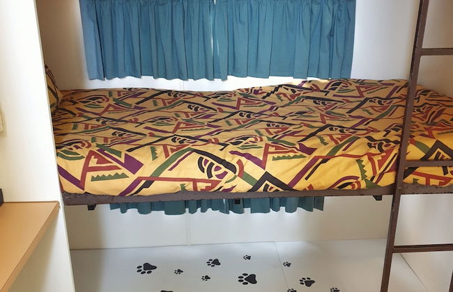 Skytrek Willow Springs Station - Foto 19