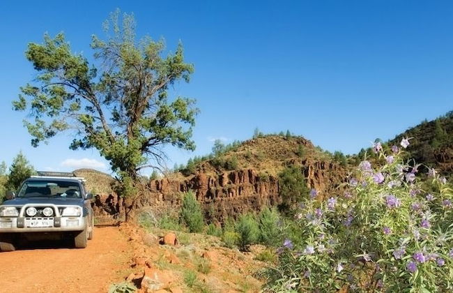 Skytrek Willow Springs Station - Foto 61